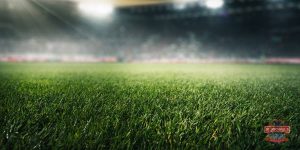 Soccer Field Dimensions in Feet & Meters With Layouts!