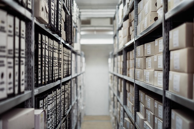 Soccer Warehouse: Is It Your Go-To Store?