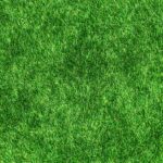 Do Soccer Players Play on Turf? Pros and Cons of Artificial Grass