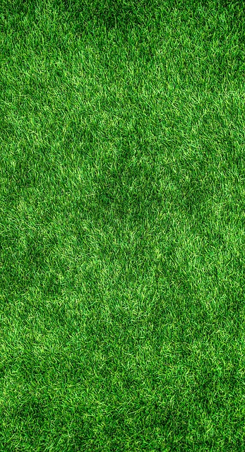 Do Soccer Players Play on Turf? Pros and Cons of Artificial Grass