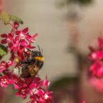 Winger in Soccer: Speed and Flair on the Wing 10 Winger in Soccer: Speed and Flair on the Wing