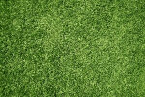 Turf Soccer: Fast-Paced Action on Synthetic Fields