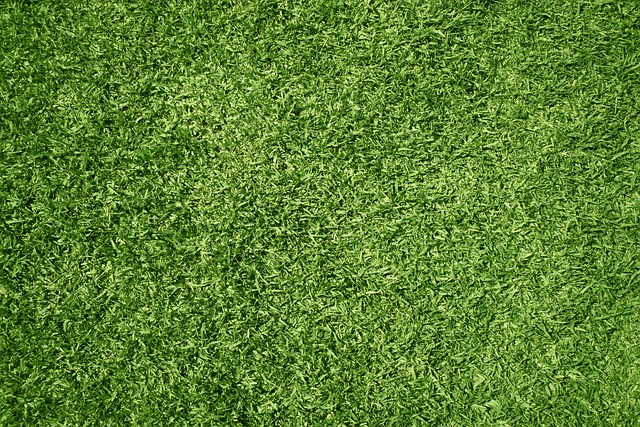 Turf Soccer: Fast-Paced Action on Synthetic Fields