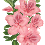 Soccer Mom Chic: Dressing the Part with Style 9 Soccer Mom Chic: Dressing the Part with Style