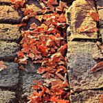 Off-Season in Soccer: What Players Do During the Break