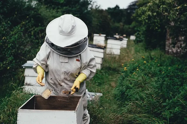 6. The Importance of Protective Gear: Ensuring Safety ⁣on the Soccer Pitch