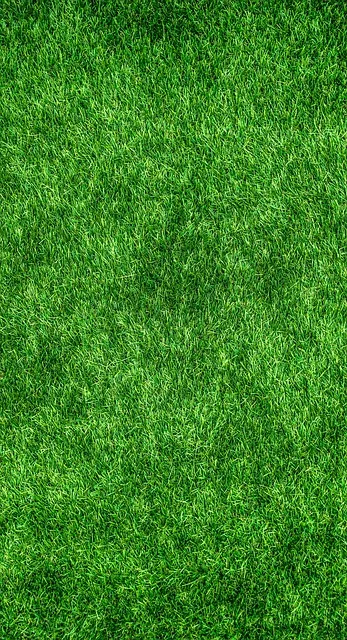 -⁤ Turf ⁤vs. Grass: A Closer Look at Ball​ Control and Player Movement