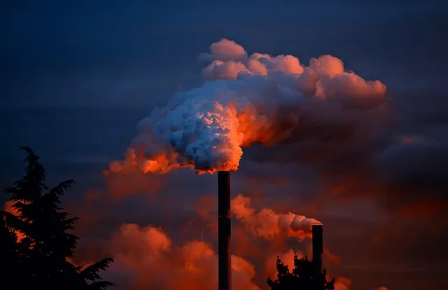 - ⁤Environmental Considerations: Sustainability and Ecological Impact