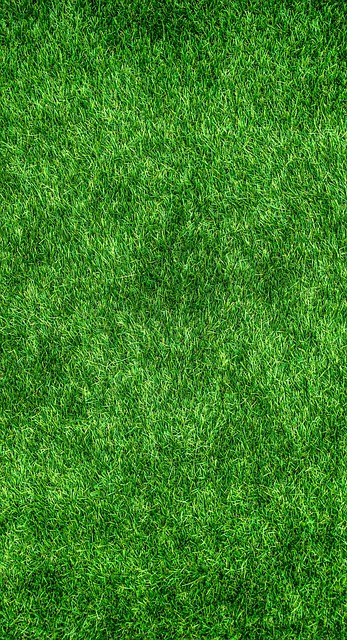 4. The Need for Proper Maintenance: ​Essential Tips to Maximize ​Longevity and Performance of Turf Soccer Fields