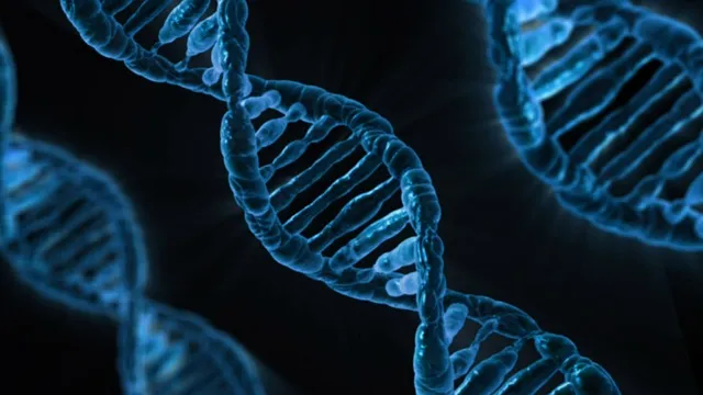 Debunking Myths: Are Soccer Players Short or Tall? 7 6. The Impact of Genetics: Debunking the Height Stereotype in Soccer