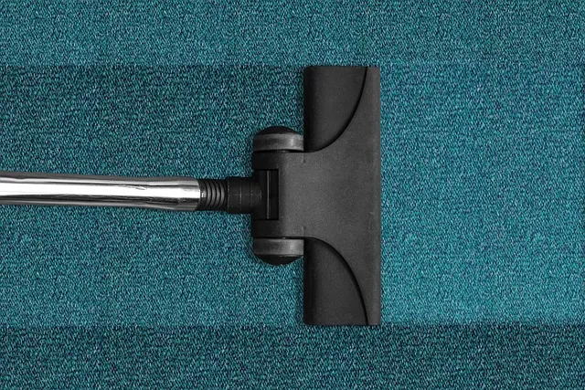 Clean and Maintain Soccer Shin Guards Like a Pro 10 10. Pro Insights: The Professionals’ Approach to Cleaning and Maintaining Shin Guards