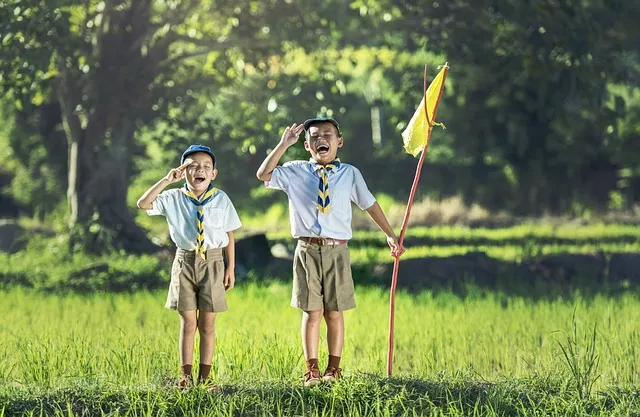 Understanding the Structure⁤ of Scouting ‍in the USA
