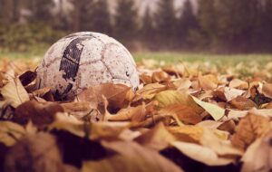 What Does Pitch Mean in Soccer: Field Explanation