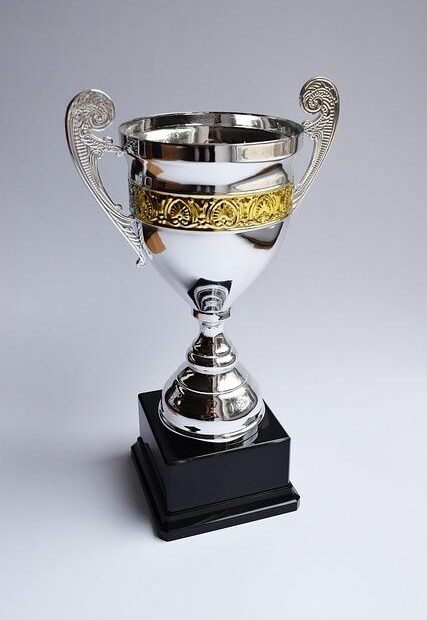 Why Is Soccer the Best Sport Essay? Celebrating Football