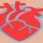 Sudden Death in Soccer: Drama on the Brink of Victory