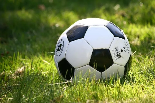 Unveiling Soccer Ball Panels: How Many Are There? 3 2. Counting the Panels: A Deeper Dive into Soccer Ball Composition