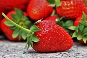 What to Eat Before Soccer Tryouts: Preparing for Success