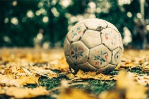 ¿Interesado en el Fútbol? Are You Interested in Soccer?