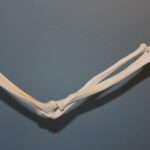 What’s the Deal with Soccer Cleats and Elbows?