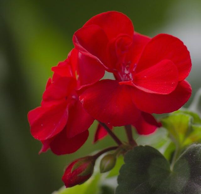 Zonal vs. Man-to-Man: Choosing the Right Defensive Strategy