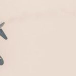 What Does PTS Mean in Soccer: Points Explained