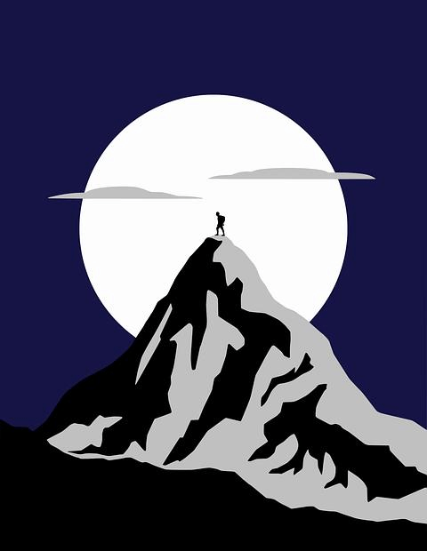 Managing Success: How to Become a Sporting Director in Soccer