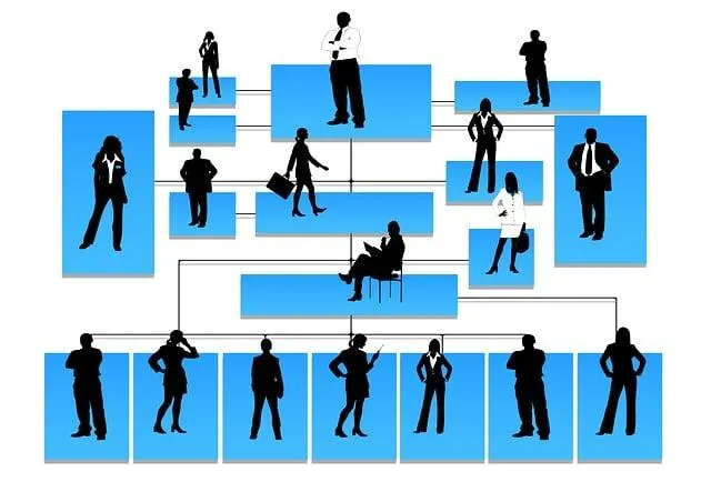Soccer Star Levels: How Many Are There to Conquer? 2 - Understanding the Hierarchy of Soccer Star Levels