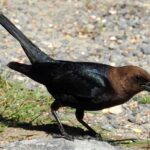 Worst Soccer Player of All Time: Legends and Flops 7 Worst Soccer Player of All Time: Legends and Flops