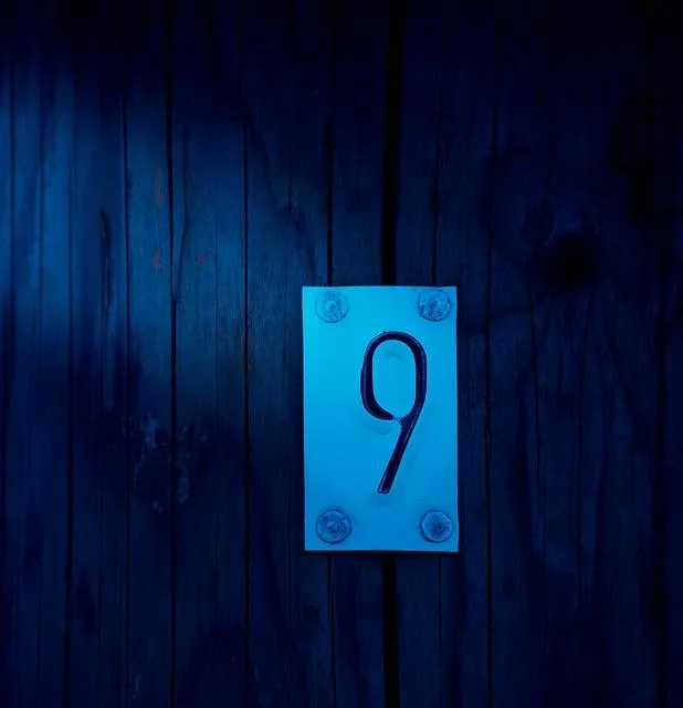 Number 9 in Soccer: The Striker's Iconic Jersey 2 - Why The Number 9 Jersey Holds a Special Place in Soccer