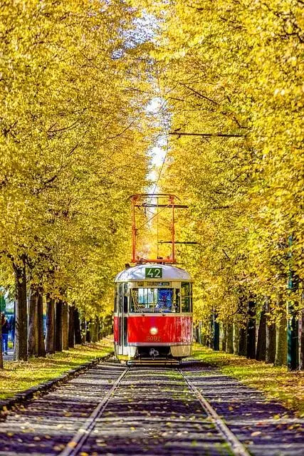 Why Don't Soccer Players Wear Helmets? Safety in the Sport 2 - The History and Evolution of Soccer Helmets: Why Have They Not Caught On?