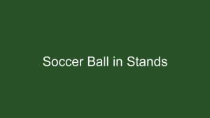 What Happens When a Soccer Ball Goes into the Stands?