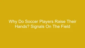 Why Do Soccer Players Raise Their Hands? Signals On The Field