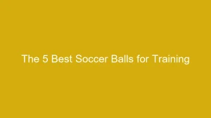 The 5 Best Soccer Balls for Training