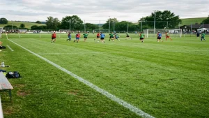 What Does Pitch Mean In Soccer: Field Explanation